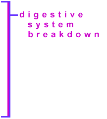 digestive system breakdown